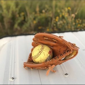 Meet your Posher, Dixie